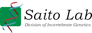 Saito Lab